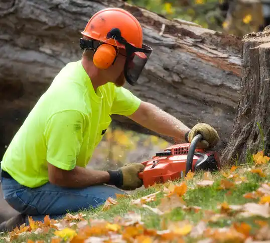 tree services Eaton